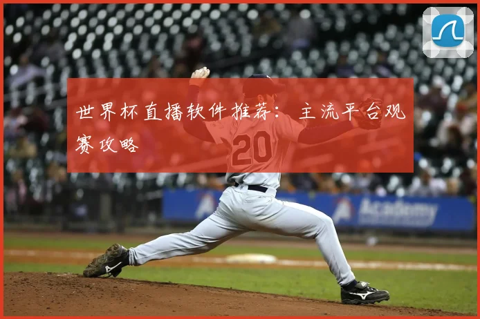 世界杯直播软件推荐:主流平台观赛攻略