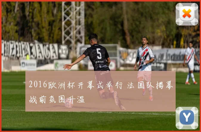 2016欧洲杯开幕式举行 法国队揭幕战前氛围升温