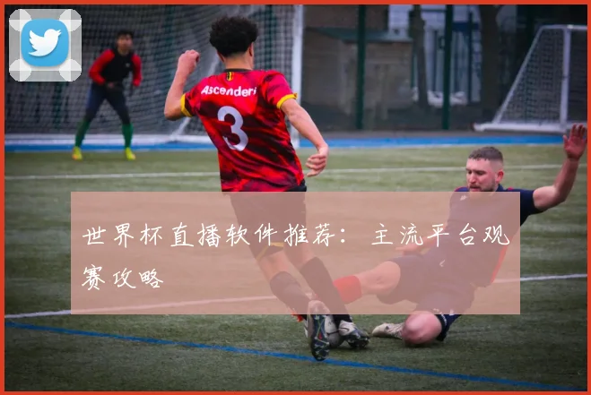 世界杯直播软件推荐:主流平台观赛攻略