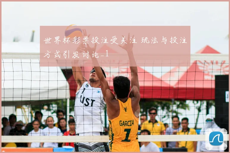 世界杯彩票投注受关注 玩法与投注方式引发讨论_1
