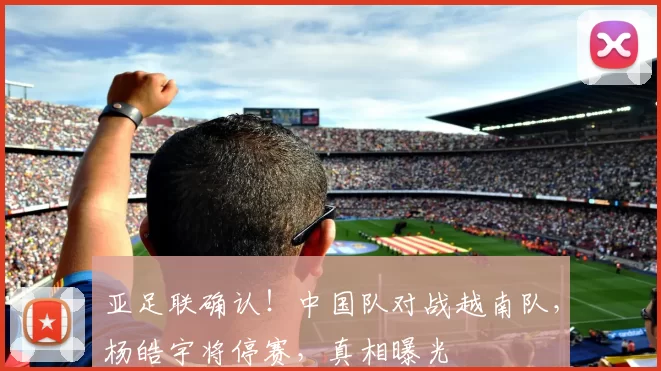 亚足联确认！中国队对战越南队，杨皓宇将停赛，真相曝光