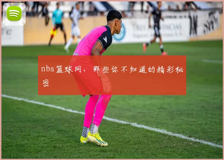 nba篮球网,那些你不知道的精彩秘密