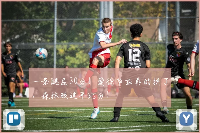 一条腿轰30分！爱德华兹真的拼了，森林狼追平比分！