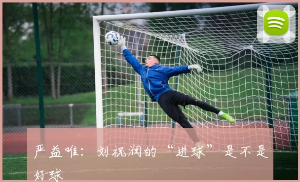 严益唯:刘祝润的“进球”是不是好球